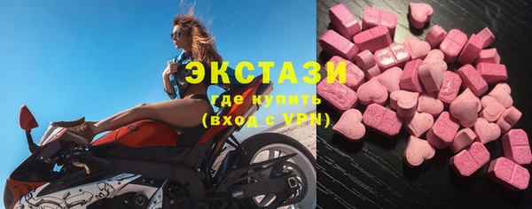 гидра Инта