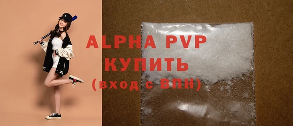 гашик Зеленокумск