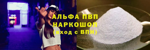 гашик Зеленокумск