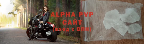 гашик Зеленокумск