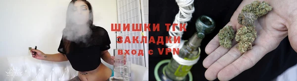 гидра Инта