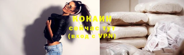 гашик Зеленокумск