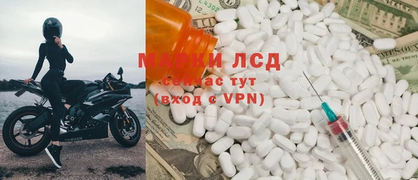 гашик Зеленокумск